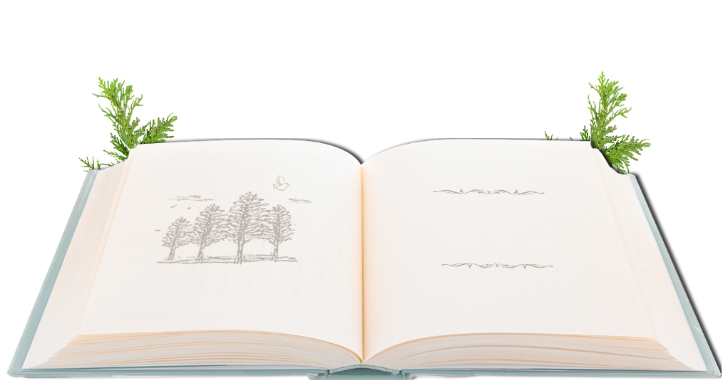 明日、なろうの物語
